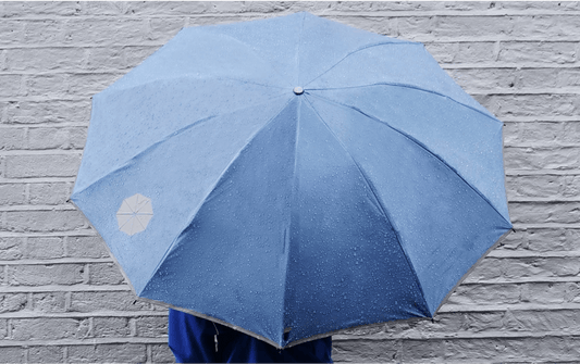Stay Dry, Stay Safe: Why The Brolly's Original Collection is The Ultimate Umbrella - Brolly's